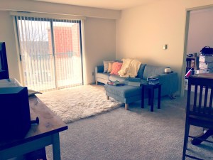 A color photo of my living room, the blinds are open on the patio doors allowing sunshine to fill the space showing off my grey sectional with grey, pink and gold pillows and a white fluffy blanket.