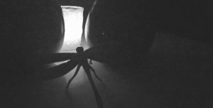 a black and white dimly lit photo of a candle burning in the backdrop with the silhouette of a dragonfly paperweight