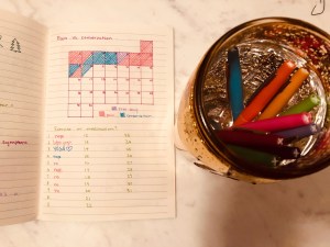 a colorful photo looking down at my pain vs non pain days in my journal with a gold jar full of pens to the left