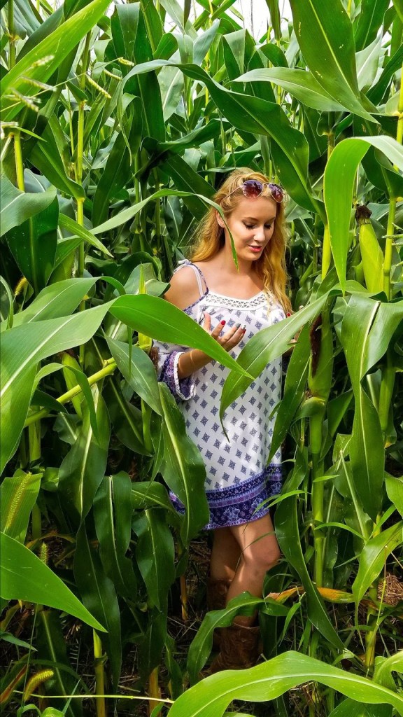 girl in white sundress with a small blue pattern and long curly blonde hair standing in a field of really tall corn stalks