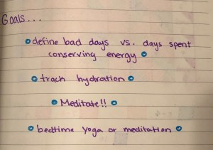 goals... define bad days vs days spent conserving energy, track hydration, meditate, bedtime yoga or meditation