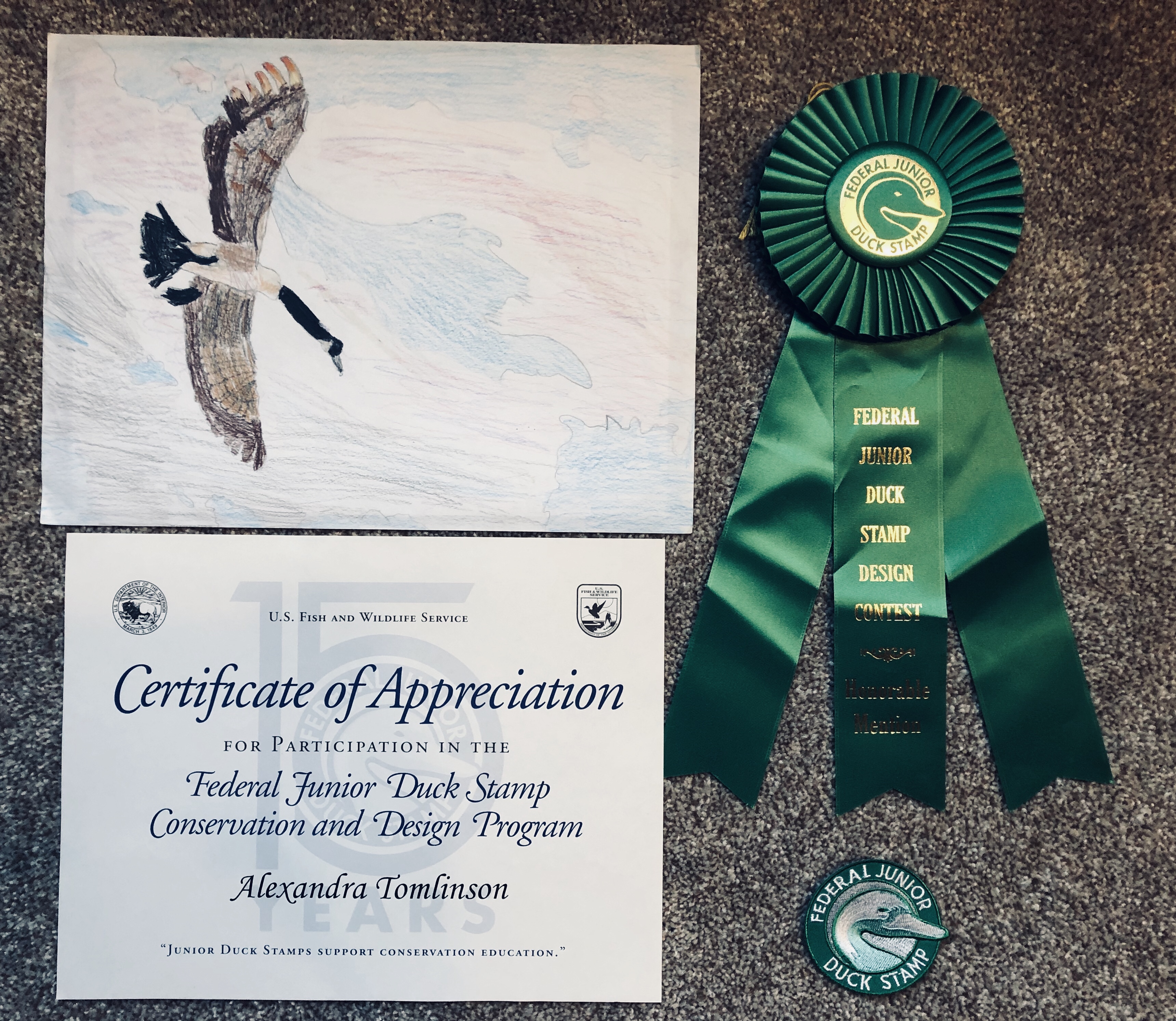 my drawing of a goose that won honorable mention at the duck stamp contest, positioned with my ribbon and certificate