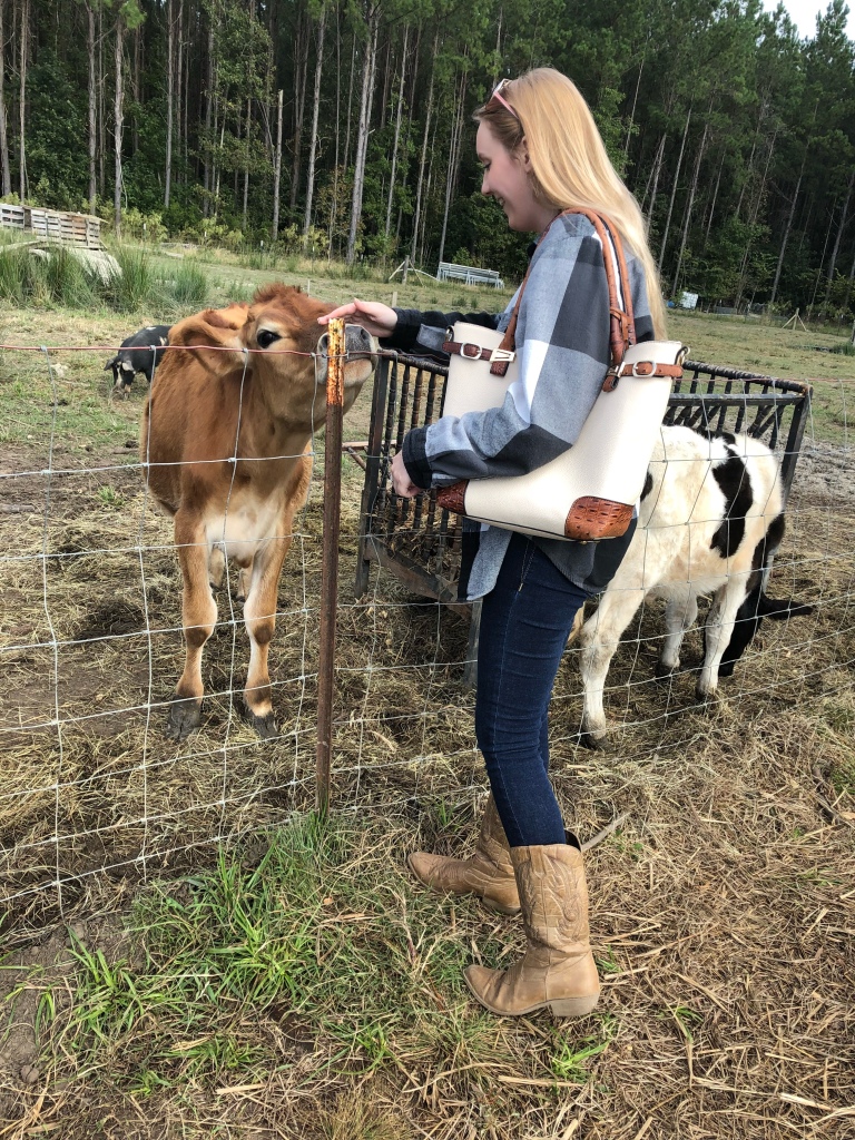 Girl petting a cow.