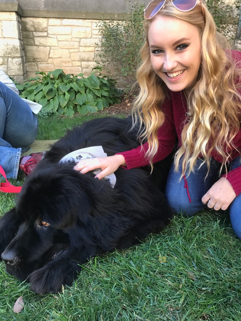 blonde girl petting a very large black dog on the ground.