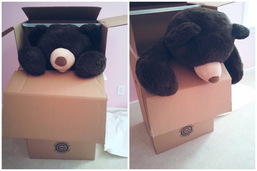 Side by side photo of large brown teddy bear first peering out of a large moving wardrobe box, then slowing starting to crawl out of the box.