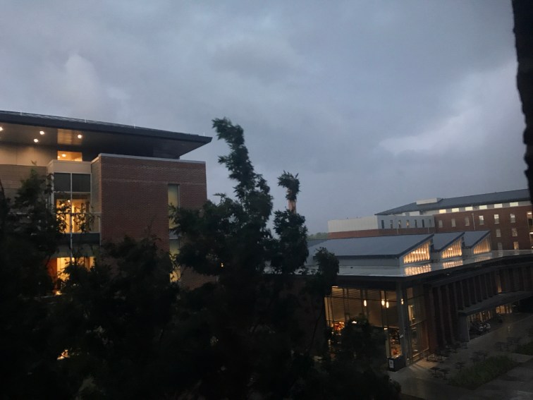 View from my dorm window overlooking one of the other newer dormitory buildings on campus