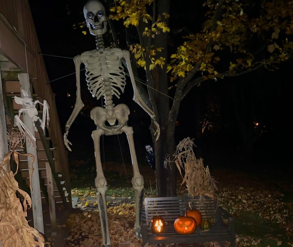 A large 12 foot skeleton towers over a spooky scene. Carved pumpkins line a bench surrounded by dead corn stalks. Behind a maple tree peaks out someone in a ghostface costume brandishing a knife. 