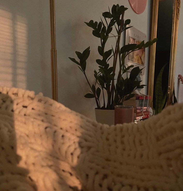 A soft warm glow of sunlight cascades across a knit white blanket reaching the wall. In the distance a large zz plant and stacks of books and records on the wall are shrouded in soft shadows.