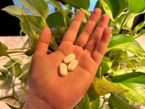 My palm extended holding three large pills, they are white and labeled u100. The backdrop is a pothos plant